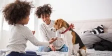 Des animaux en santé, des humains en santé : Comment éviter les maladies que les animaux peuvent transmettre aux humains